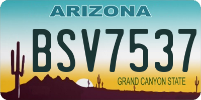 AZ license plate BSV7537