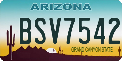 AZ license plate BSV7542