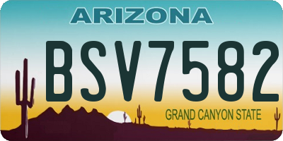 AZ license plate BSV7582