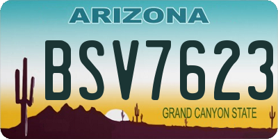 AZ license plate BSV7623