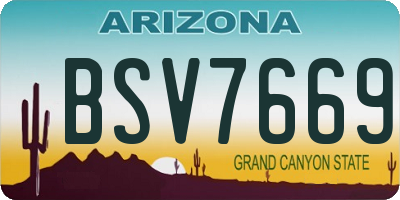 AZ license plate BSV7669