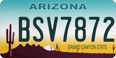AZ license plate BSV7872
