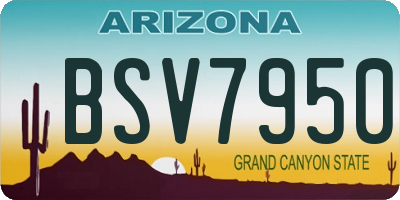 AZ license plate BSV7950
