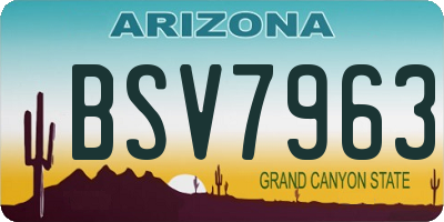 AZ license plate BSV7963