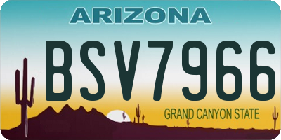 AZ license plate BSV7966