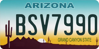 AZ license plate BSV7990