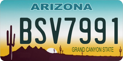 AZ license plate BSV7991