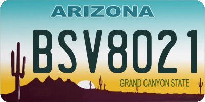 AZ license plate BSV8021