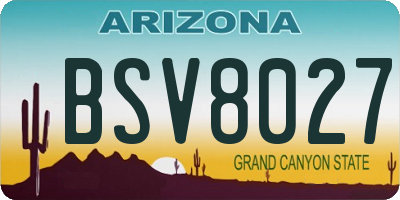 AZ license plate BSV8027