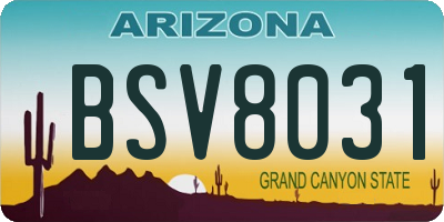 AZ license plate BSV8031