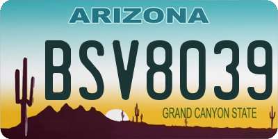 AZ license plate BSV8039