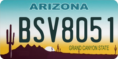 AZ license plate BSV8051
