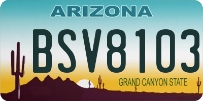 AZ license plate BSV8103