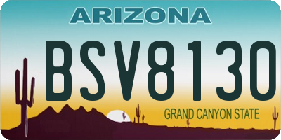 AZ license plate BSV8130