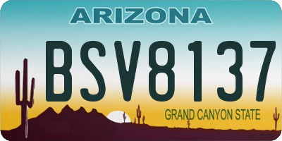 AZ license plate BSV8137