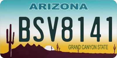 AZ license plate BSV8141