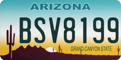 AZ license plate BSV8199