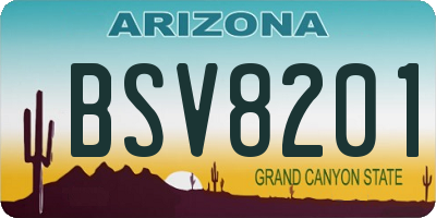 AZ license plate BSV8201