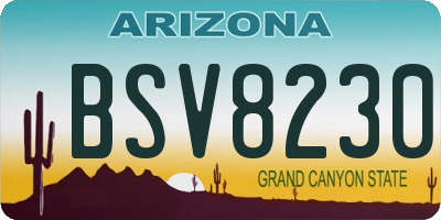AZ license plate BSV8230