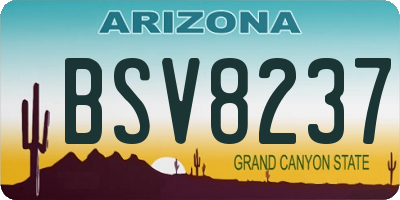 AZ license plate BSV8237