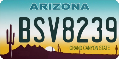 AZ license plate BSV8239