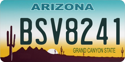 AZ license plate BSV8241