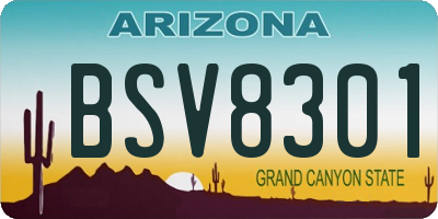 AZ license plate BSV8301
