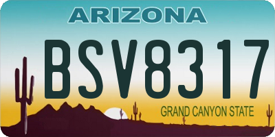 AZ license plate BSV8317