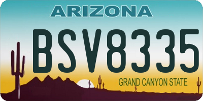AZ license plate BSV8335