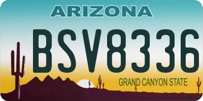 AZ license plate BSV8336