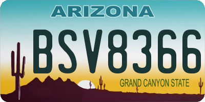 AZ license plate BSV8366