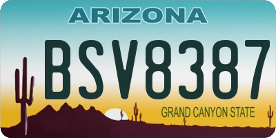 AZ license plate BSV8387