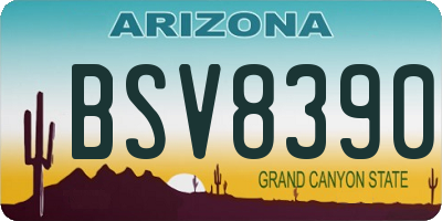 AZ license plate BSV8390