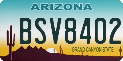 AZ license plate BSV8402