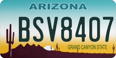AZ license plate BSV8407