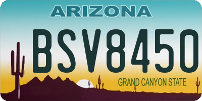 AZ license plate BSV8450
