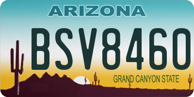 AZ license plate BSV8460