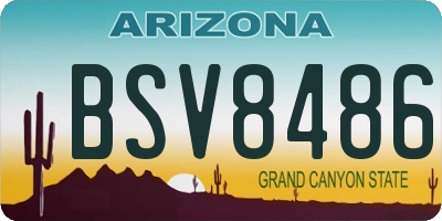 AZ license plate BSV8486