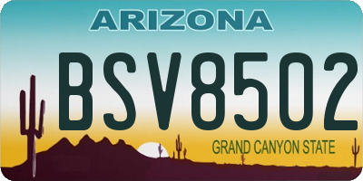 AZ license plate BSV8502