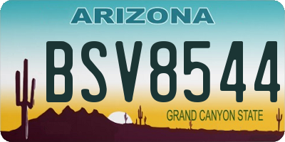 AZ license plate BSV8544