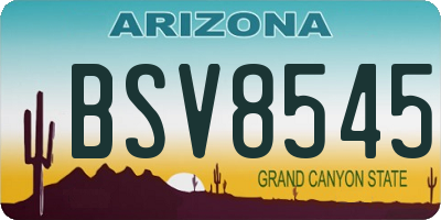 AZ license plate BSV8545