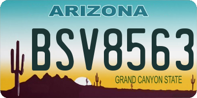 AZ license plate BSV8563