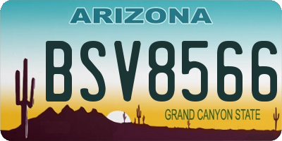 AZ license plate BSV8566