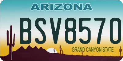 AZ license plate BSV8570