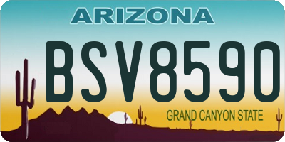 AZ license plate BSV8590