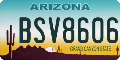AZ license plate BSV8606