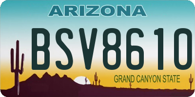 AZ license plate BSV8610