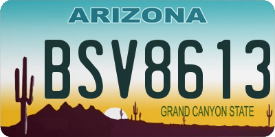AZ license plate BSV8613