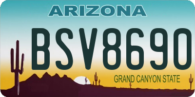 AZ license plate BSV8690