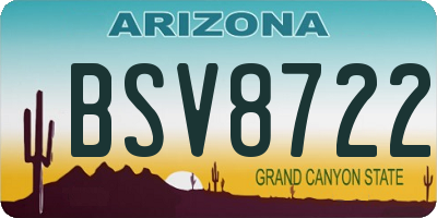 AZ license plate BSV8722